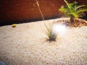 vegas backyard landscape 045.jpg